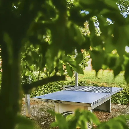 Avec Terrasse, Piscine Et Ping-pong Prayssac