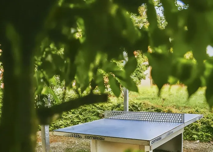 Avec Terrasse, Piscine Et Ping-pong Prayssac
